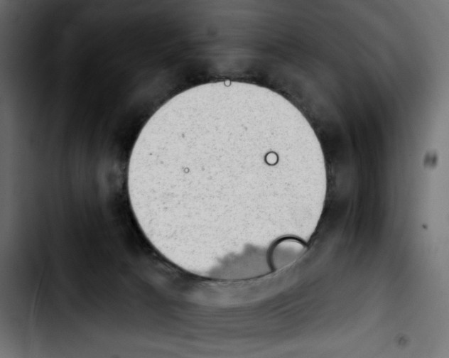 X0000103930033200810311527
