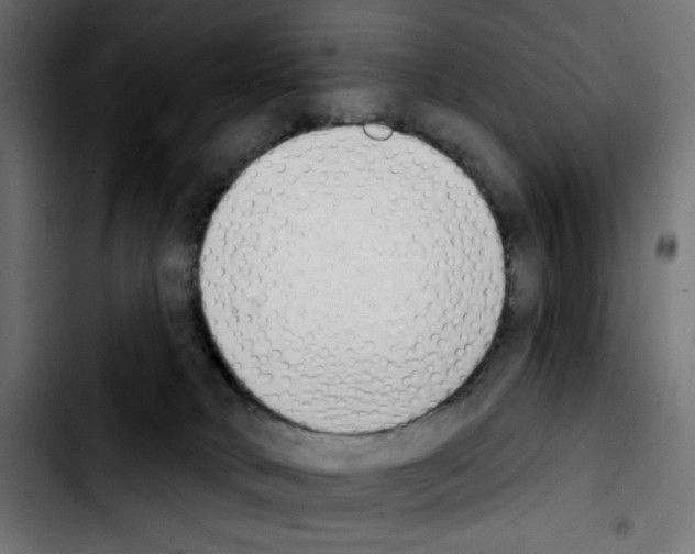 X0000103930034200810311527