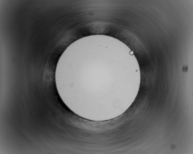 X0000103930035200810311527