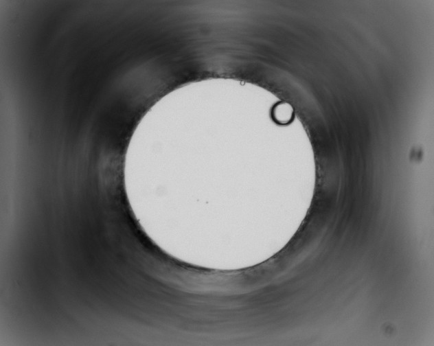 X0000103930036200810311527