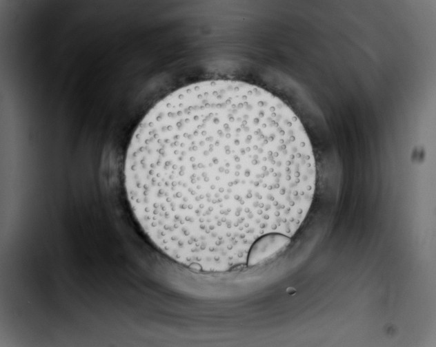 X0000103930038200810311527