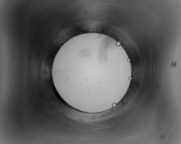 X0000103930039200810311527