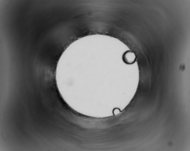 X0000103930040200810311527