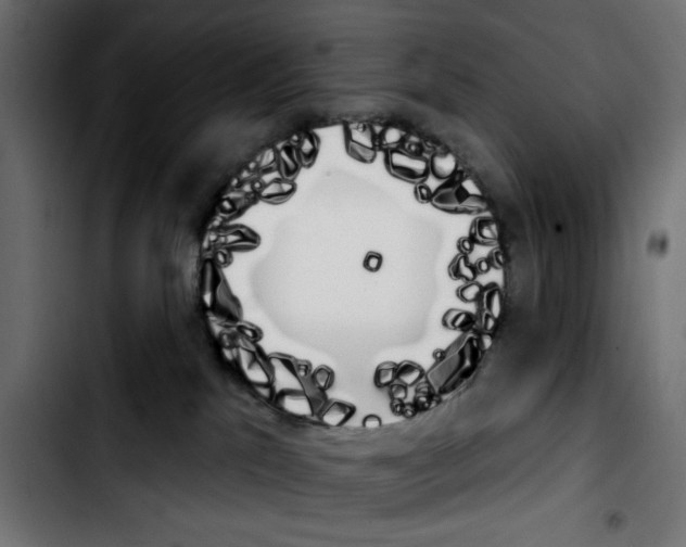 X0000103930041200810311527