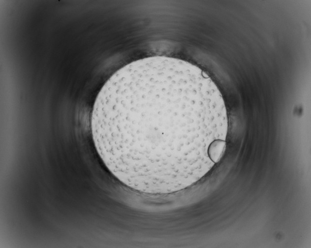 X0000103930042200810311527