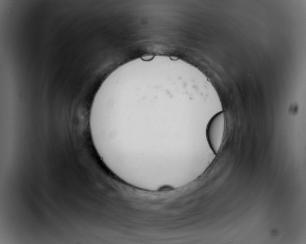 X0000103930043200810311527