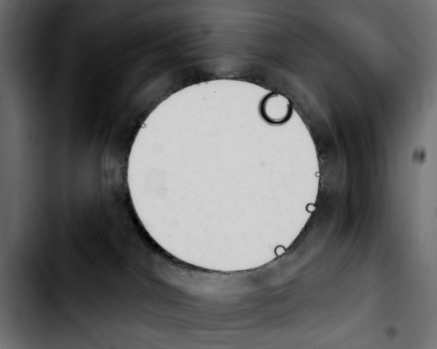 X0000103930044200810311527