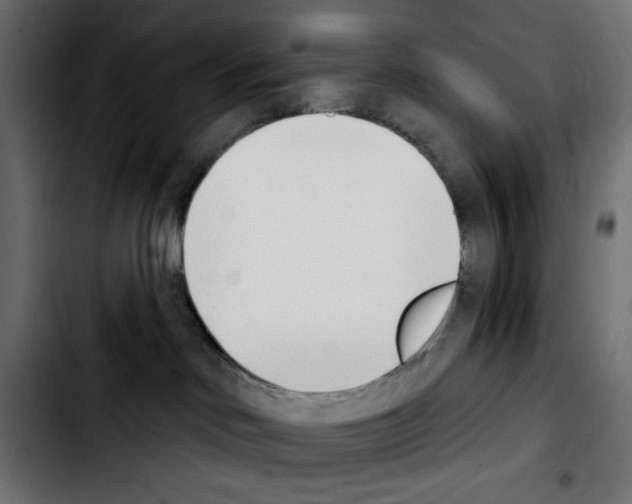 X0000103930046200810311527