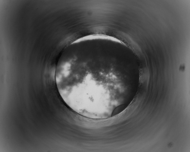 X0000103930047200810311527