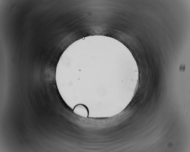 X0000103930048200810311527