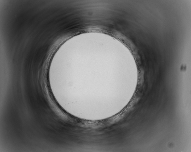 X0000103930049200810311526