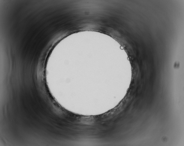 X0000103930050200810311526