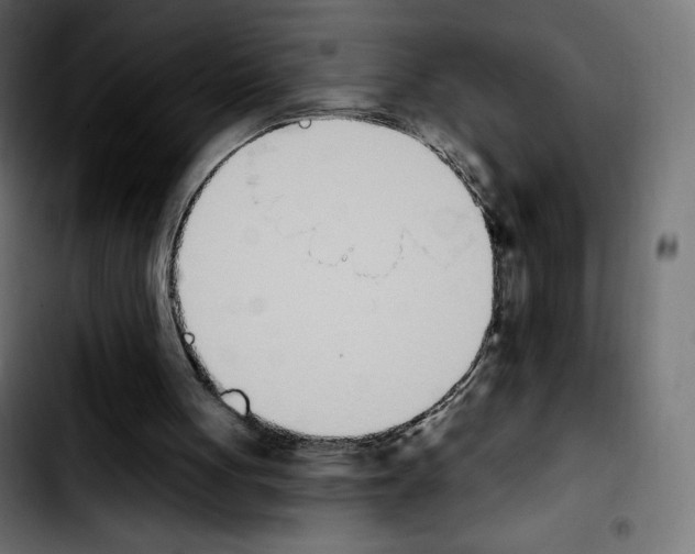 X0000103930051200810311526