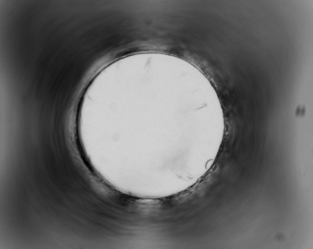 X0000103930053200810311527