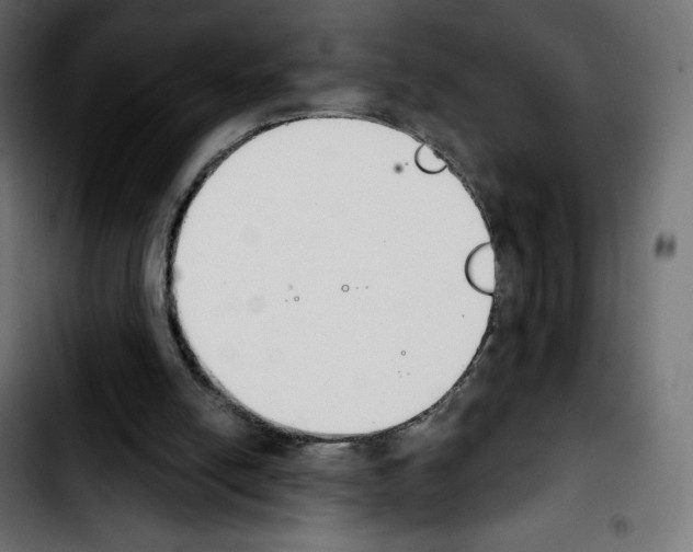 X0000103930054200810311527