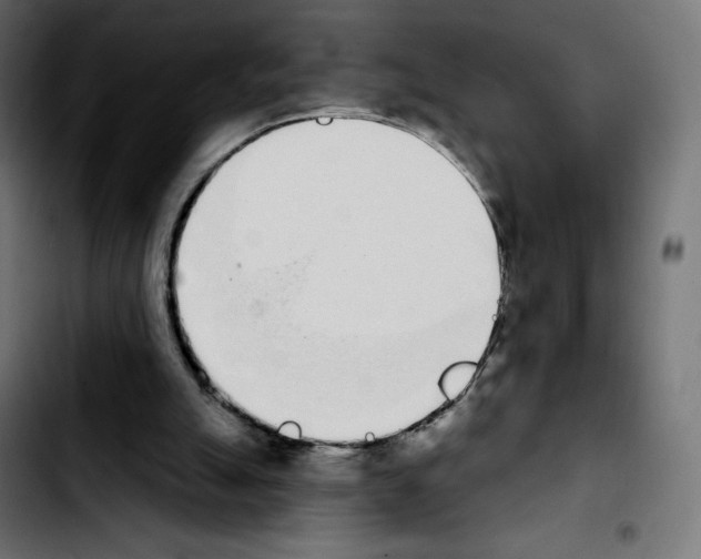 X0000103930055200810311527