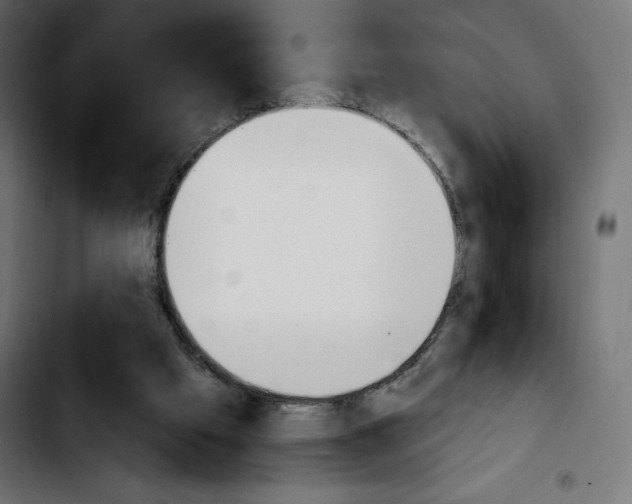 X0000103930057200810311527