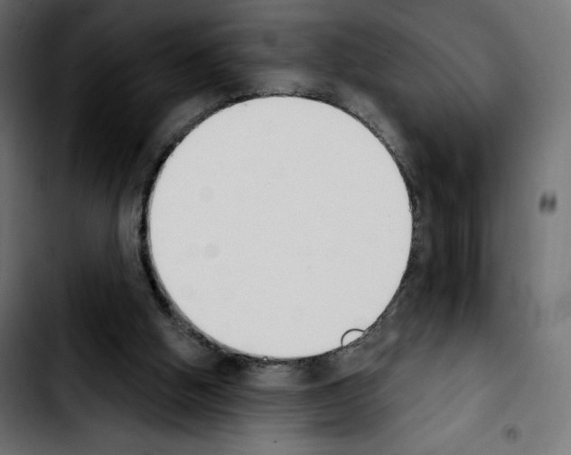 X0000103930058200810311527