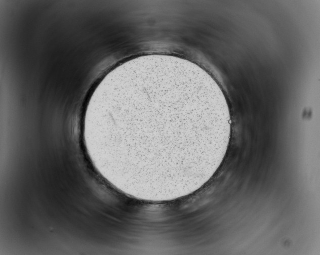 X0000103930059200810311527