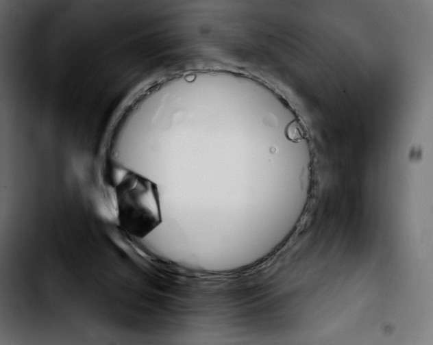 X0000103930060200810311527