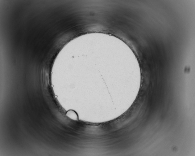 X0000103930061200810311527