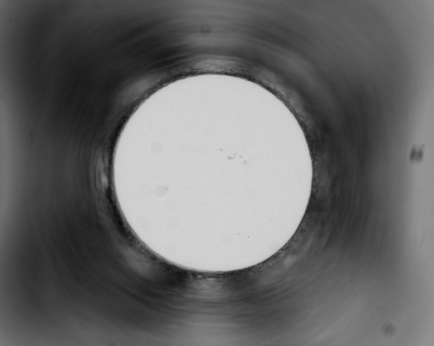 X0000103930062200810311527