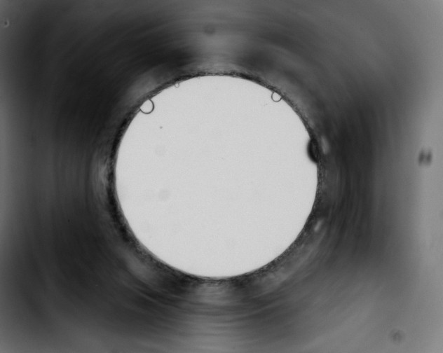 X0000103930063200810311527