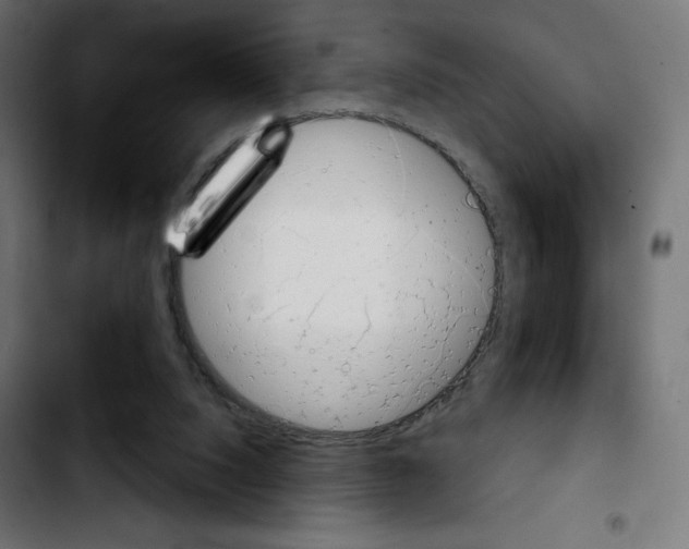 X0000103930064200810311527
