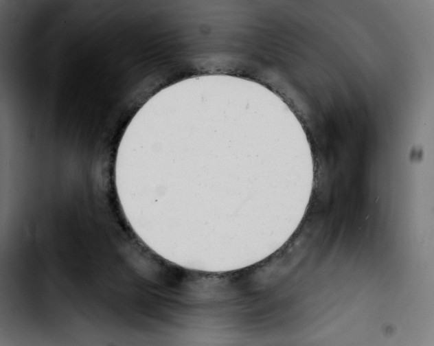 X0000103930065200810311527