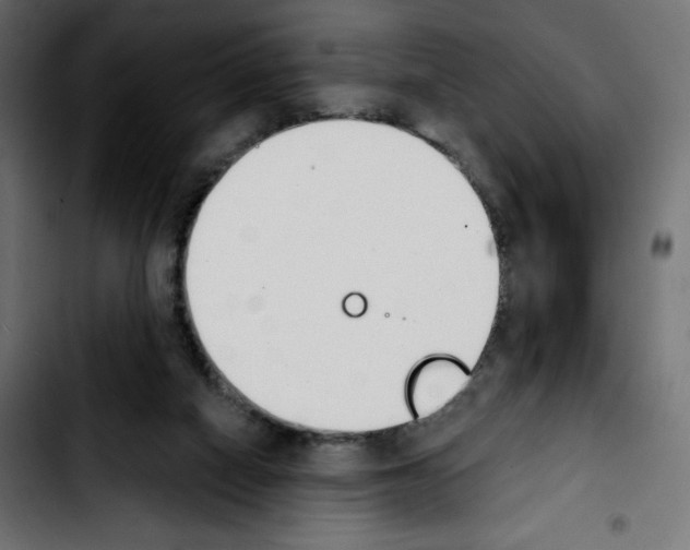 X0000103930066200810311527