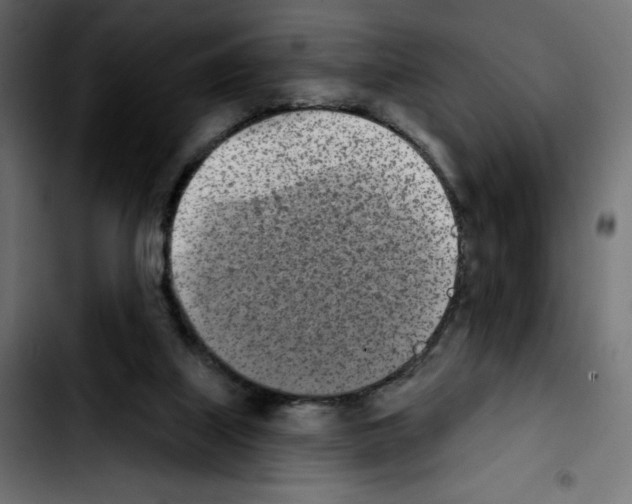 X0000103930067200810311527