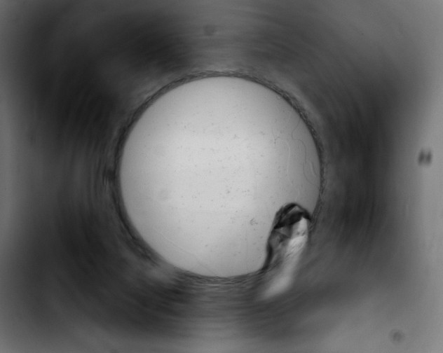 X0000103930068200810311527