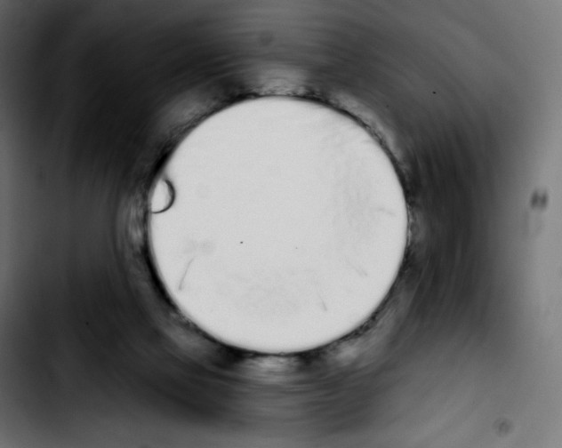 X0000103930069200810311527