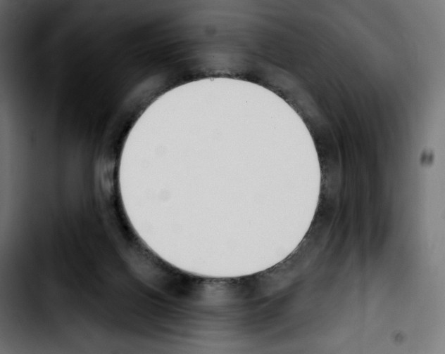 X0000103930070200810311527
