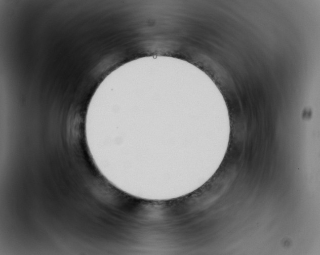 X0000103930071200810311527