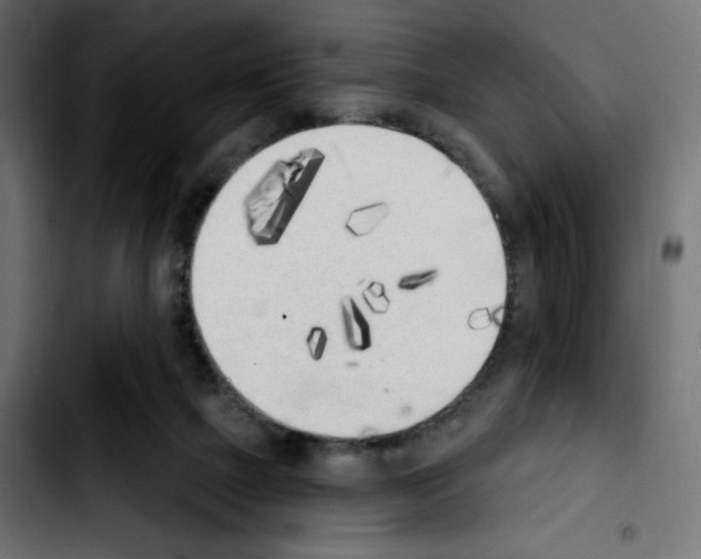 X0000103930073200810311527