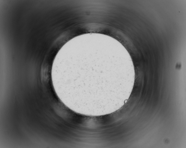 X0000103930074200810311527