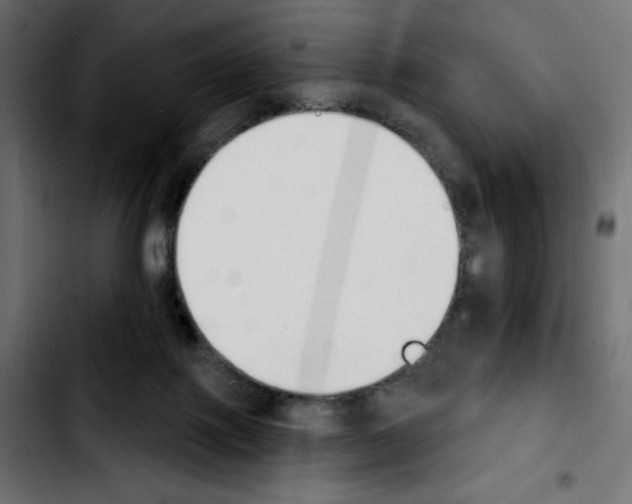 X0000103930075200810311527