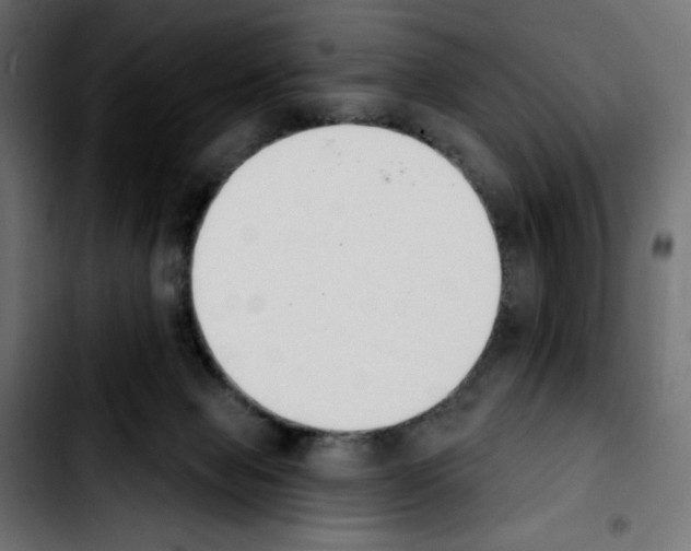X0000103930077200810311527