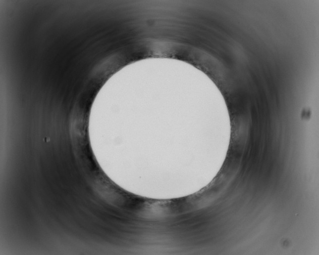 X0000103930078200810311527