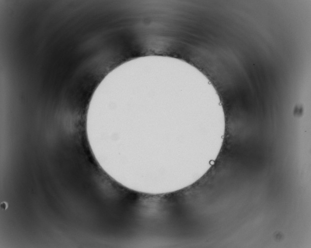 X0000103930079200810311527