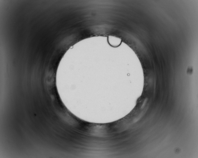 X0000103930081200810311527