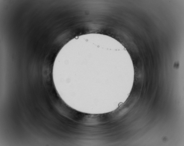 X0000103930082200810311527