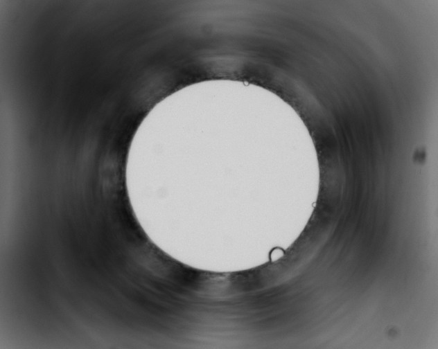 X0000103930083200810311527
