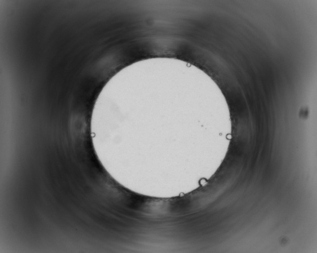 X0000103930084200810311527