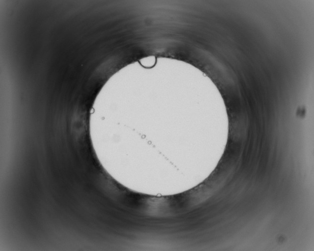 X0000103930085200810311527