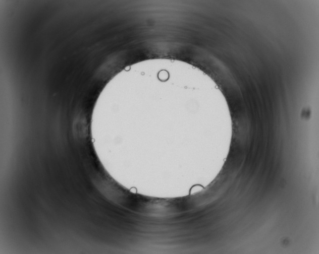 X0000103930086200810311527