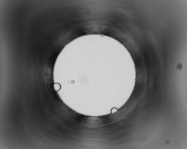 X0000103930087200810311527
