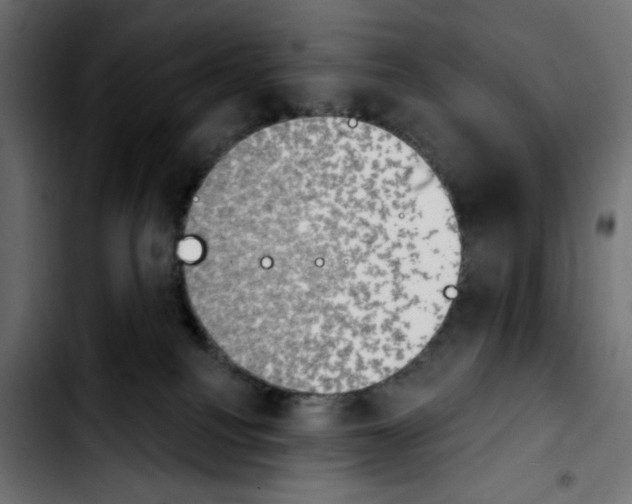 X0000103930088200810311527
