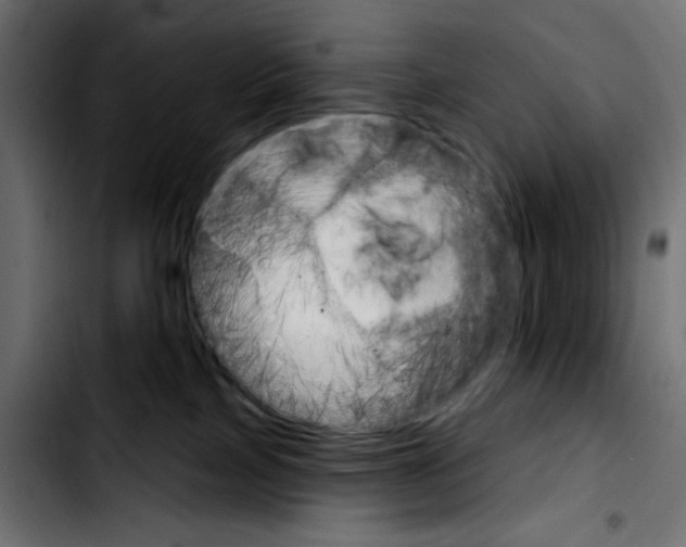 X0000103930089200810311527